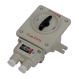 BHZ51ϵ�з���ת������(IIB��IIC��Ex tD)