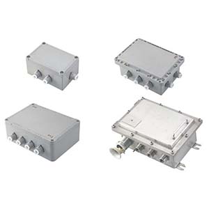 BJXϵ�з���������(IIB��IIC��Ex tD)