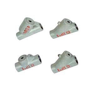 BCGϵ�з��������ܷ��(IIC)